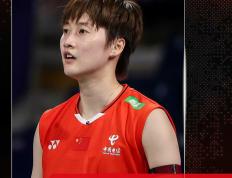 IM体育数据分析平台-包含丹麦队鏖战德国队，陈雨菲刷新纪录的词条