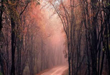 IM体育官方网-篮网全队备战充足，力争连胜稳固东部位置的简单介绍