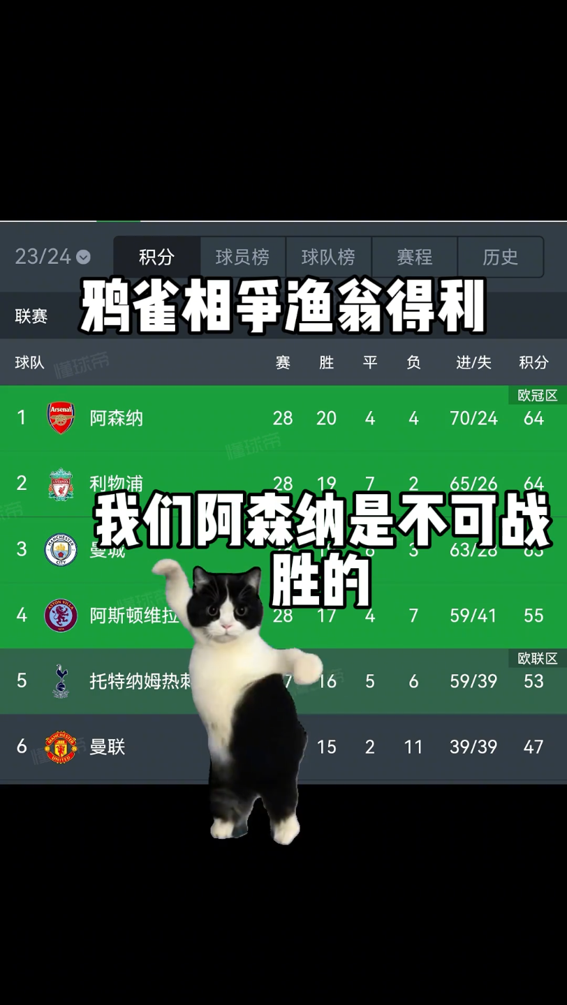 IM体育数据分析平台-阿森纳连续6场保持不败，战绩亮眼观众们掌声不断的简单介绍