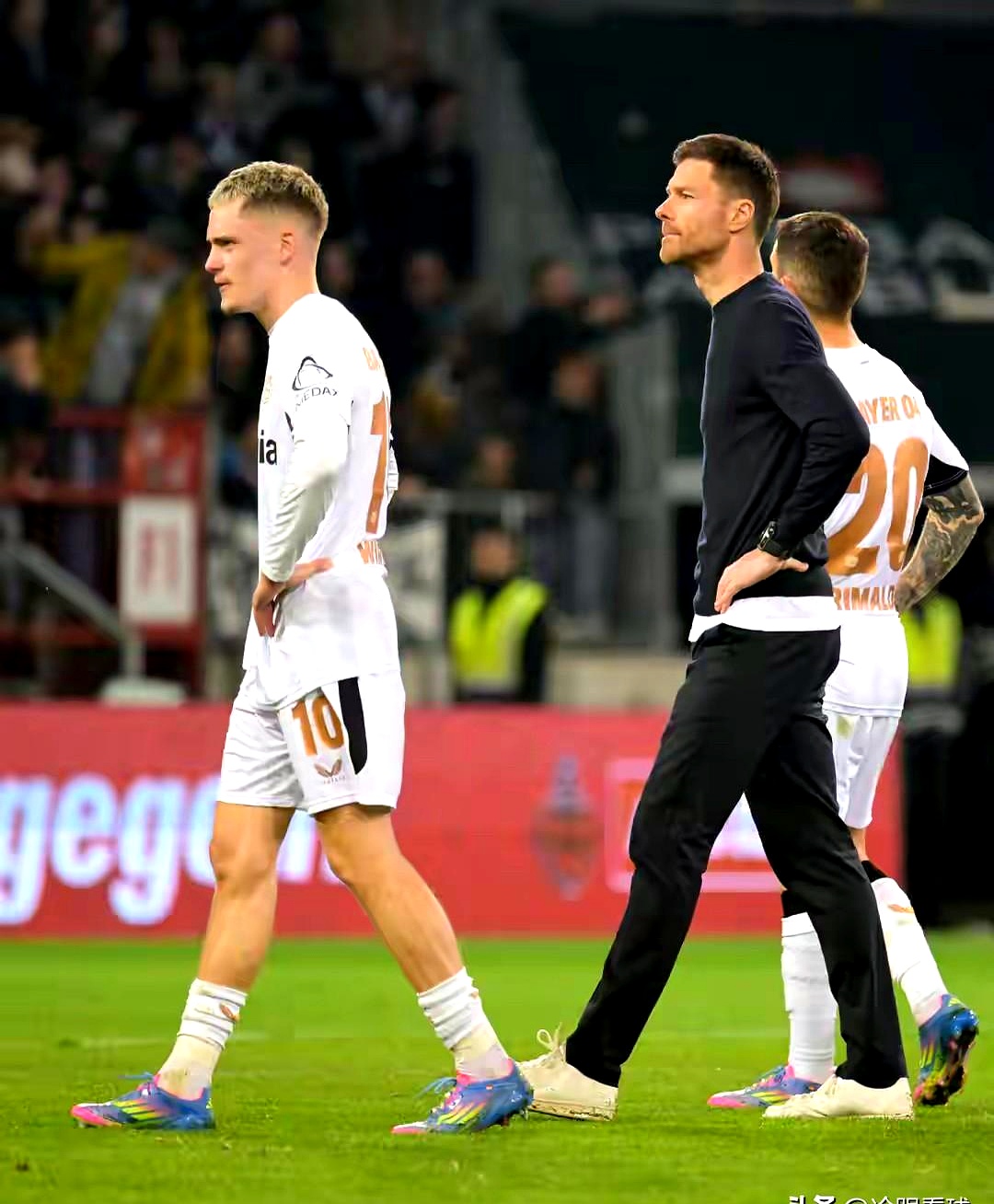 IM体育官方网-关于勒沃库森主场告负,出局概率大增!的信息